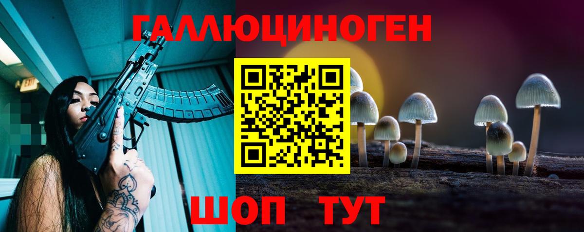 купить наркотики цена  Вход с VPN  Усть-Лабинск  Галлюциногенные грибы Psilocybine cubensis  Галлюциногенные грибы Cubensis 